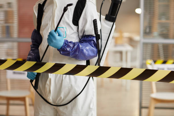 Professional Sewage Cleanup technician working in Villa Ridge, MO